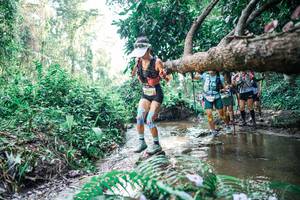 BIB: 
                            <button type="button" onclick="openModal(25460974)" class="btn btn-primary btn-sm float-right btn-popup" data-toggle="modal" data-target=".modal-high-quality">
                        <i class="fas fa-shopping-cart"></i> Add to Cart
                    </button>
                                            <button type="button" onclick="isThisMe(25460974, true)" class="btn btn-success btn-sm float-right btn-popup btn-isme hidden" data-toggle="tooltip" data-placement="bottom" title="นี่คือรูปของคุณใช่ไหม คลิกที่นี่เพื่อเอาเข้าอัลบั้ม">
                        <i class="fas fa-plus"></i> Add to album
                    </button>
                    <button type="button" onclick="isThisMe(25460974, false)" class="btn btn-warning btn-sm float-right btn-popup btn-isnotme hidden">
                        <i class="fas fa-ban"></i> Remove from album
                    </button>